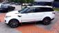 Preview: Zierleiste für Range Rover Sport 2014-2019 Fahrertür Abdeckung Unten LR044139
